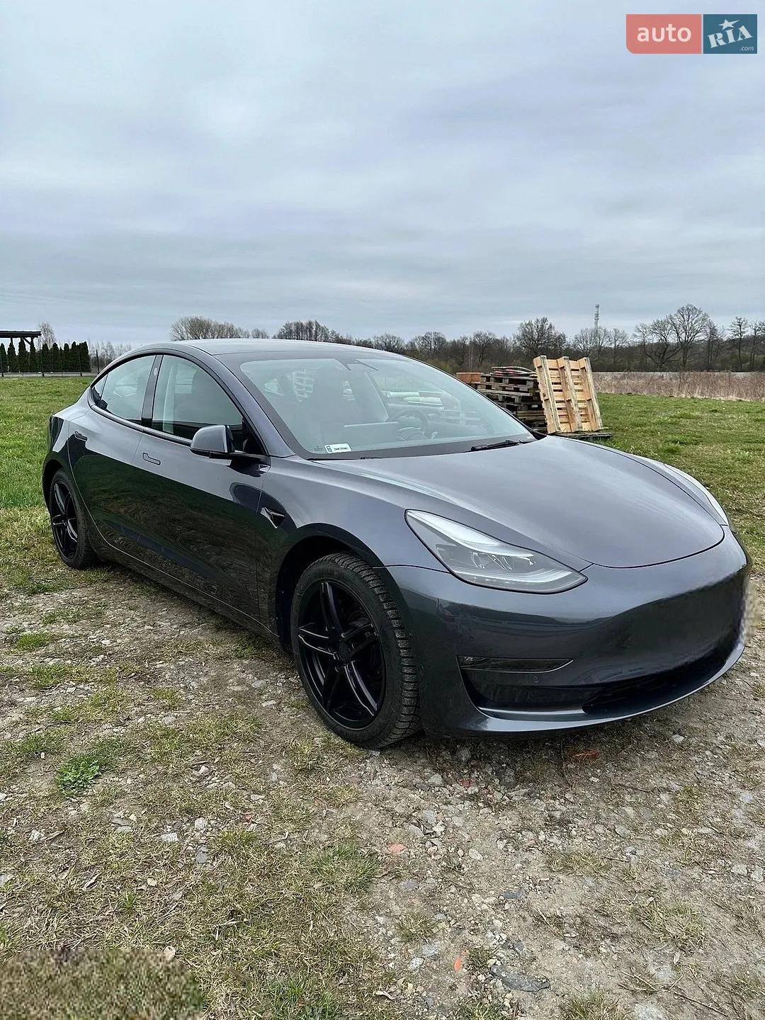 2021 Tesla Model 3 - мініатюра 3