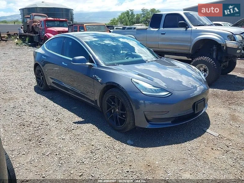 Tesla Model 3 2019