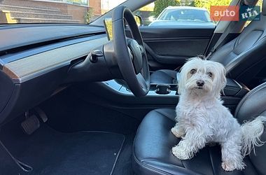 Седан Tesla Model 3 2020 в Виннице