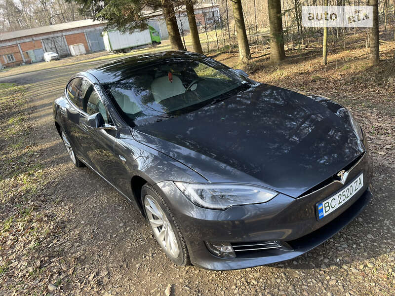 Ліфтбек Tesla Model S 2019 в Стрию