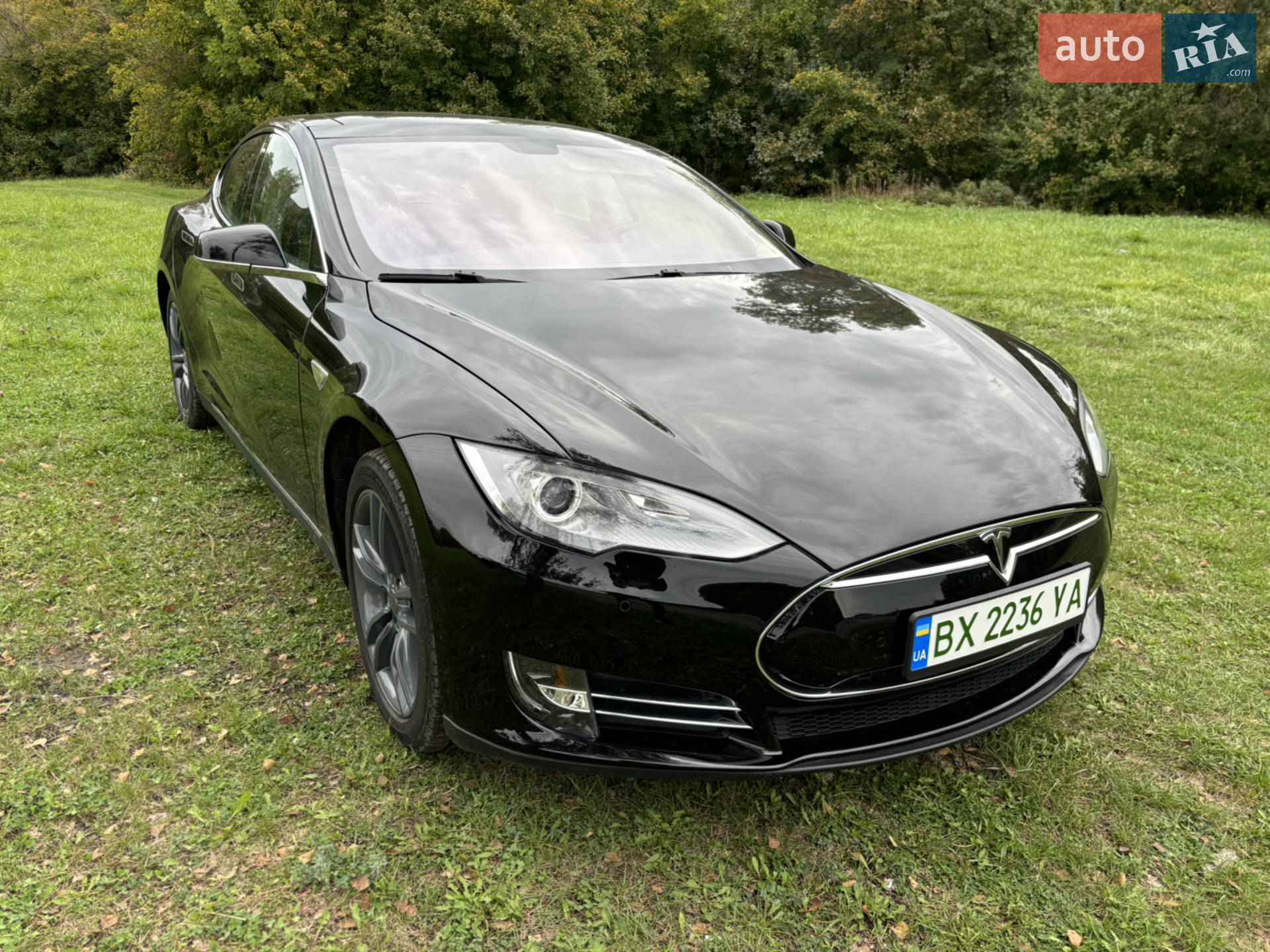 2013 Tesla Model S - фото 1