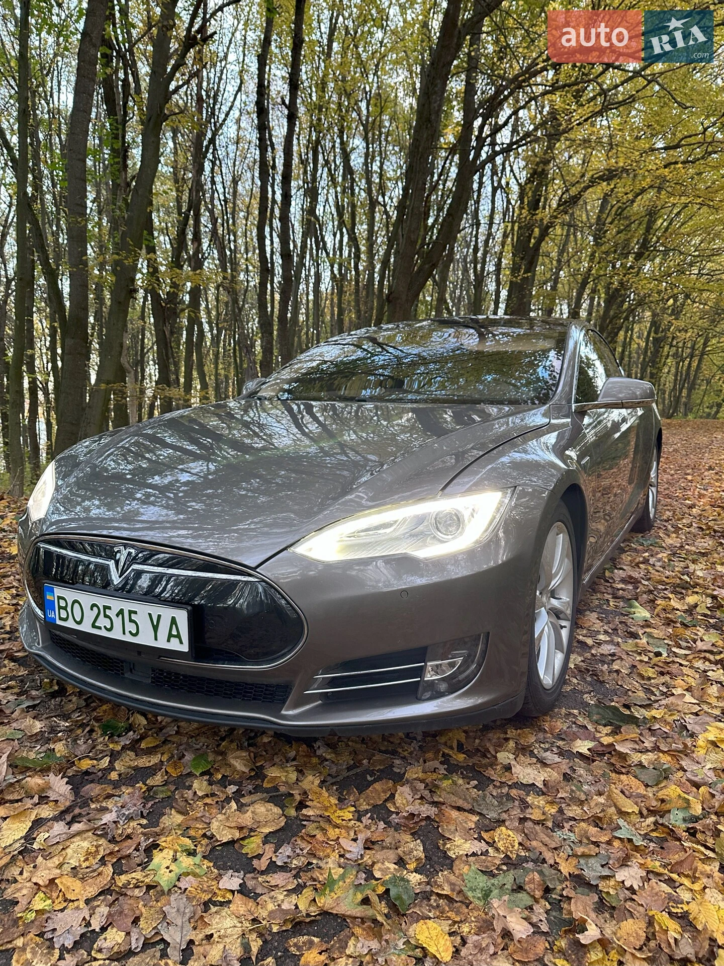 2015 Tesla Model S - мініатюра 6