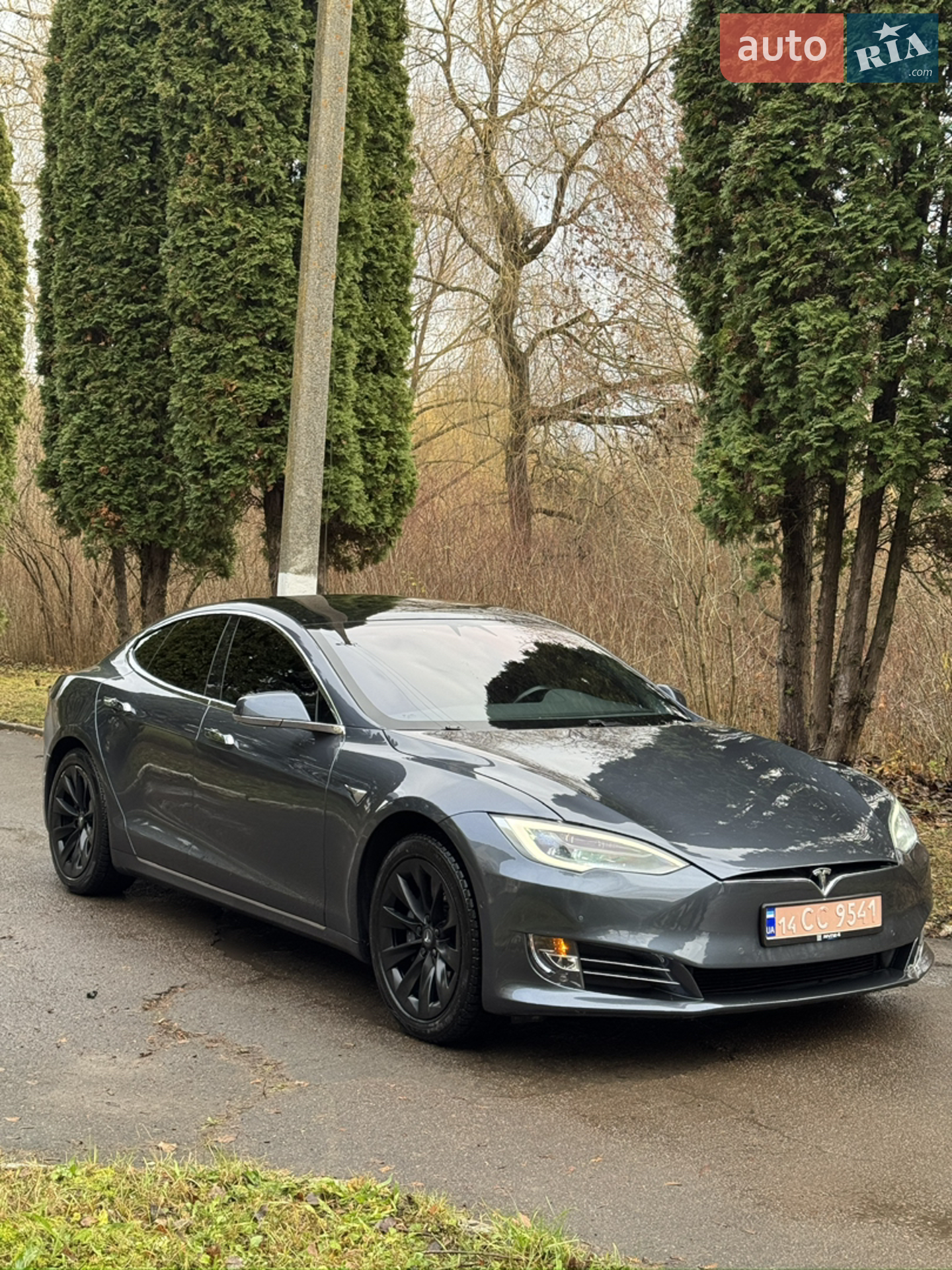 2019 Tesla Model S - мініатюра 3