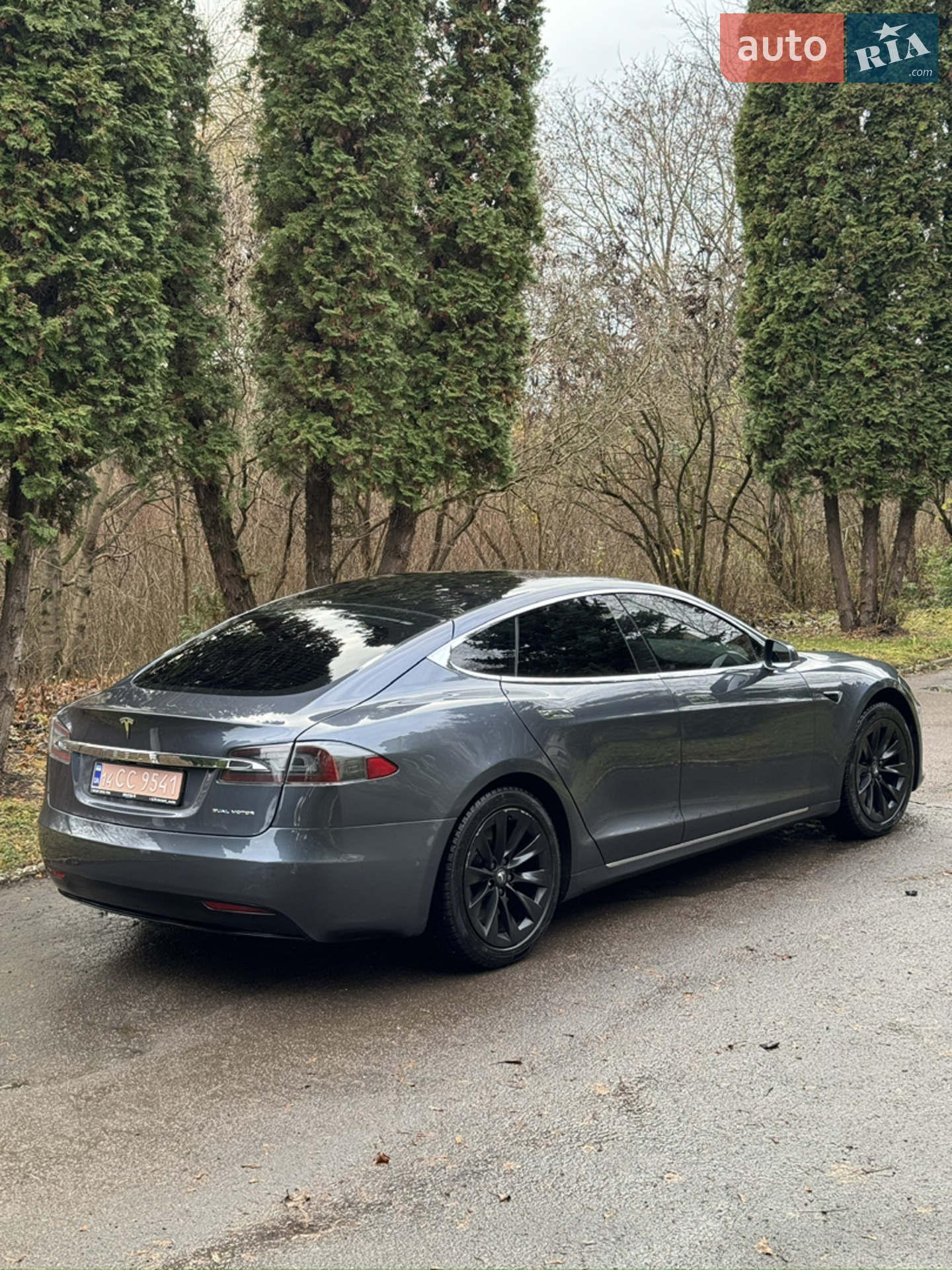 2019 Tesla Model S - мініатюра 17