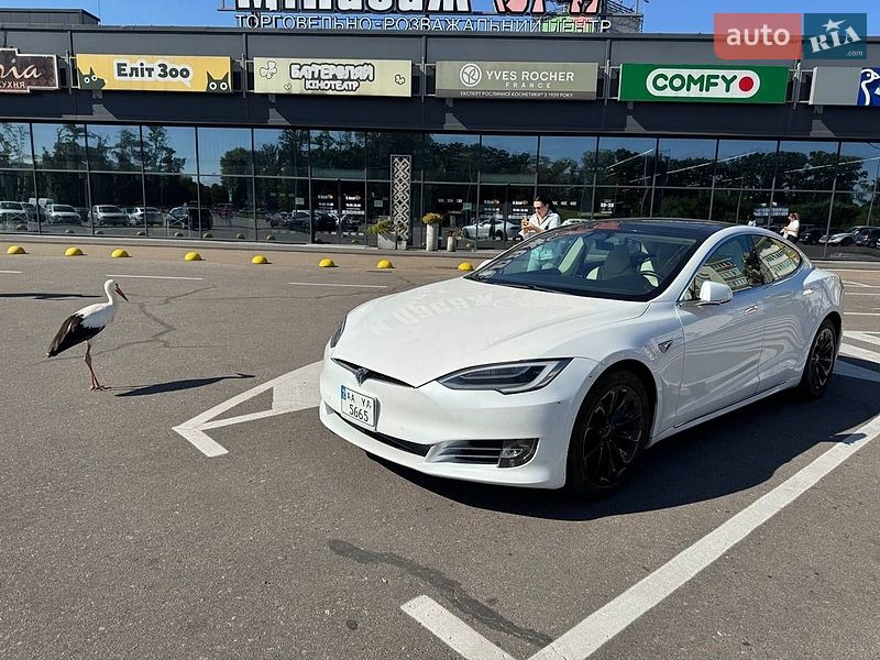 Ліфтбек Tesla Model S 2017 в Києві