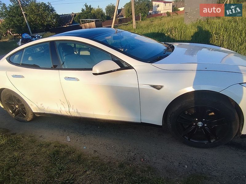 2013 Tesla Model S, VIN 5YJSA1CP6DFP20415:plate — фото 1 (autoria)