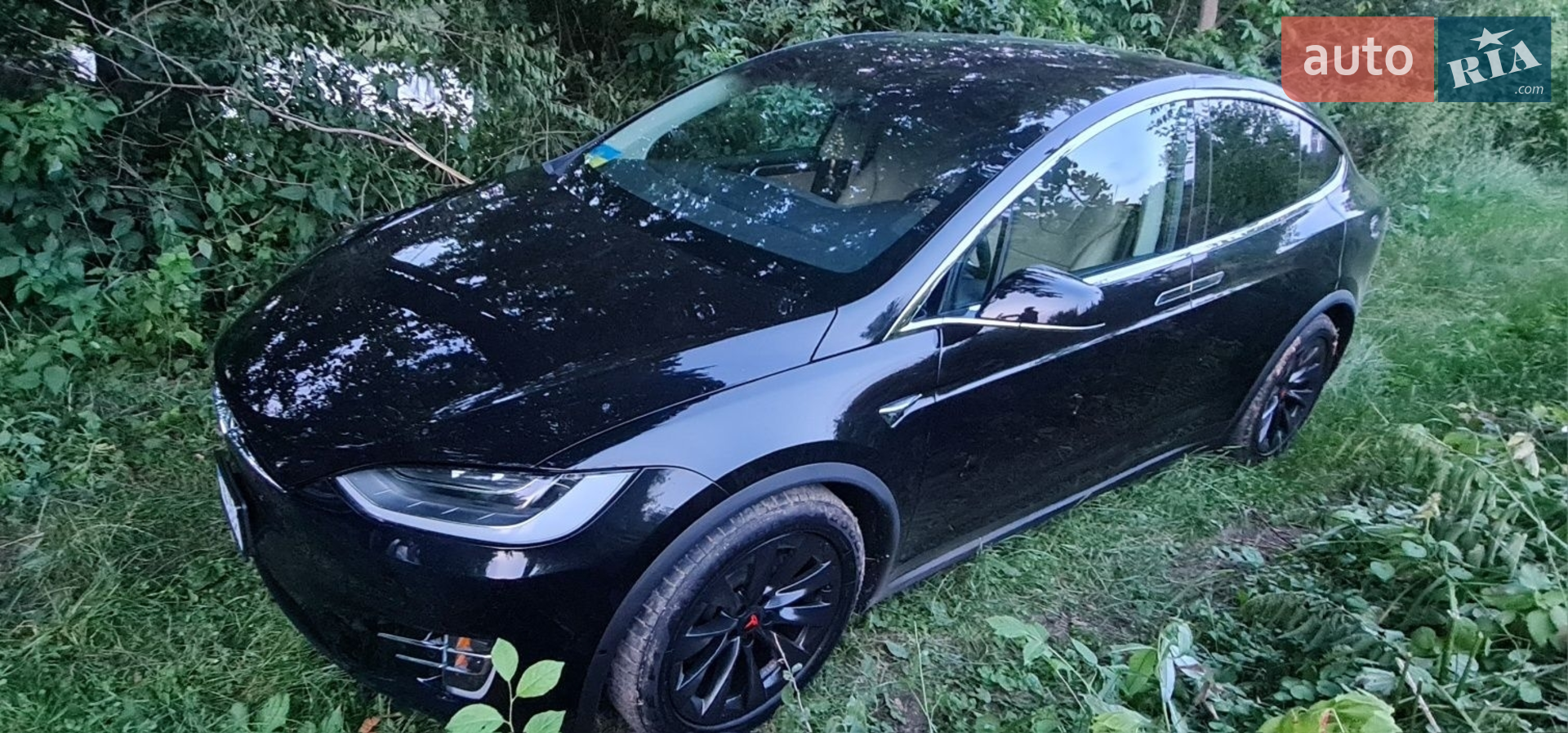 2017 Tesla Model X - мініатюра 20