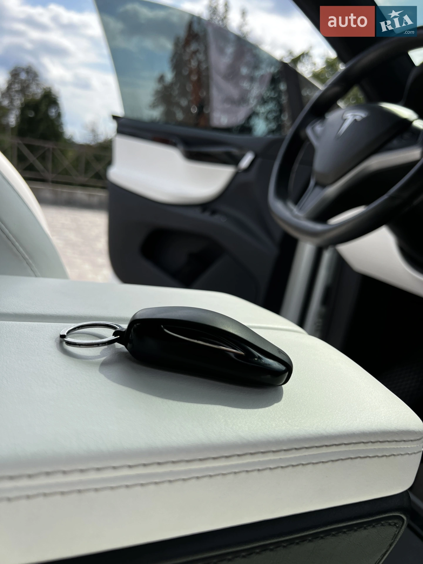 2019 Tesla Model X - мініатюра 17
