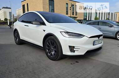 Внедорожник / Кроссовер Tesla Model X 2019 в Хмельницком