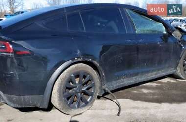 Внедорожник / Кроссовер Tesla Model X 2023 в 