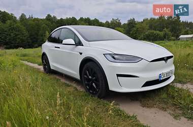Внедорожник / Кроссовер Tesla Model X 2023 в 