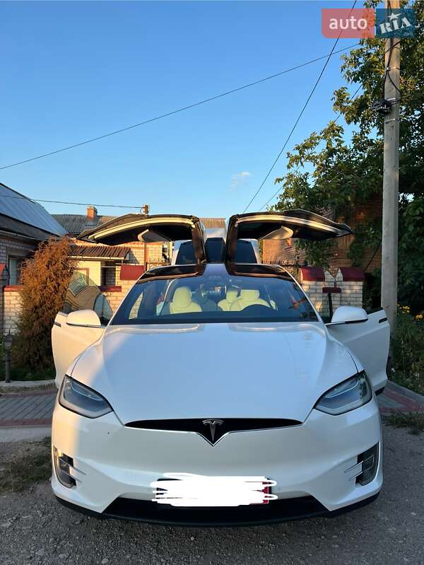 Позашляховик / Кросовер Tesla Model X 2019 в Кропивницькому