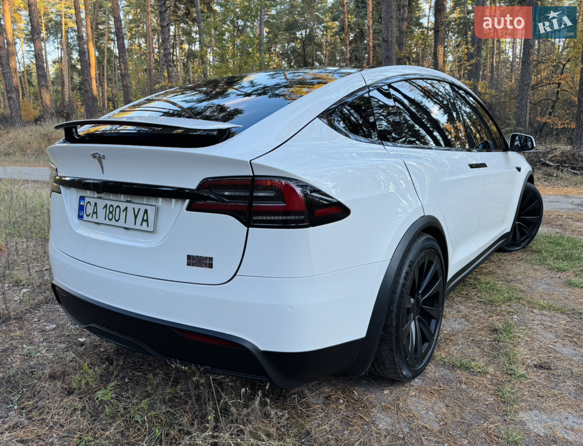2022 Tesla Model X - мініатюра 31