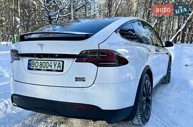 Внедорожник / Кроссовер Tesla Model X 2023 в Тернополе