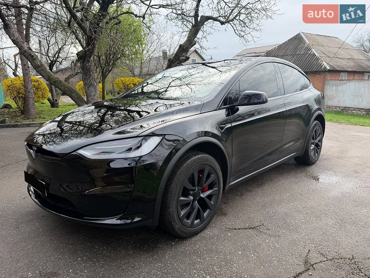 2022 Tesla Model X - мініатюра 100
