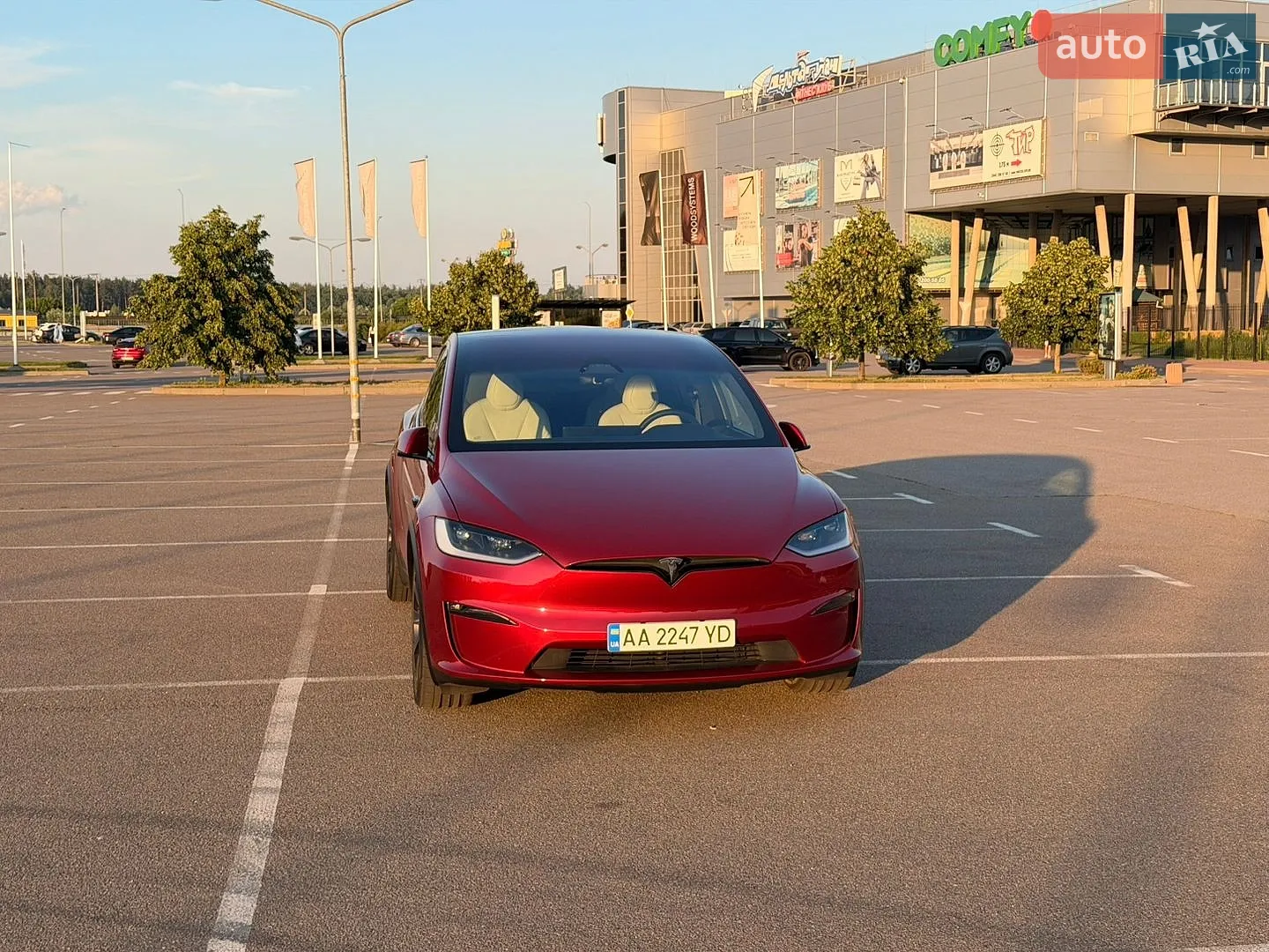 2024 Tesla Model X - мініатюра 8