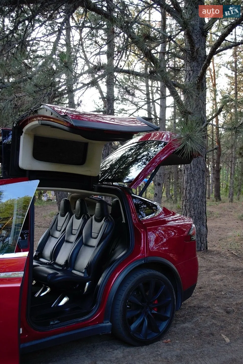 2016 Tesla Model X - мініатюра 5