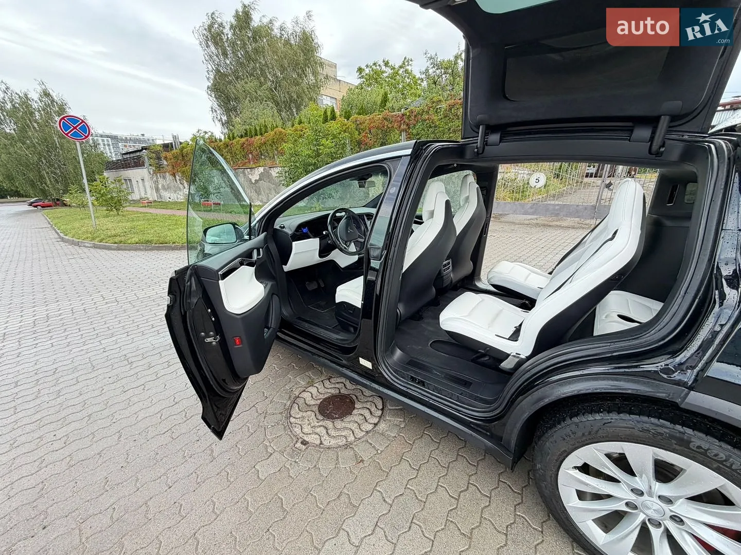 2019 Tesla Model X - мініатюра 9