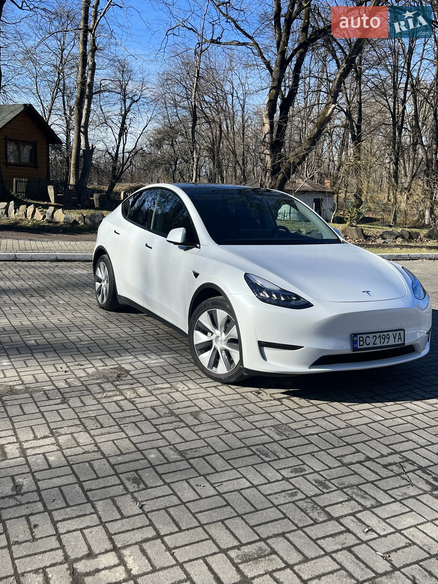 2021 Tesla Model Y - мініатюра 2