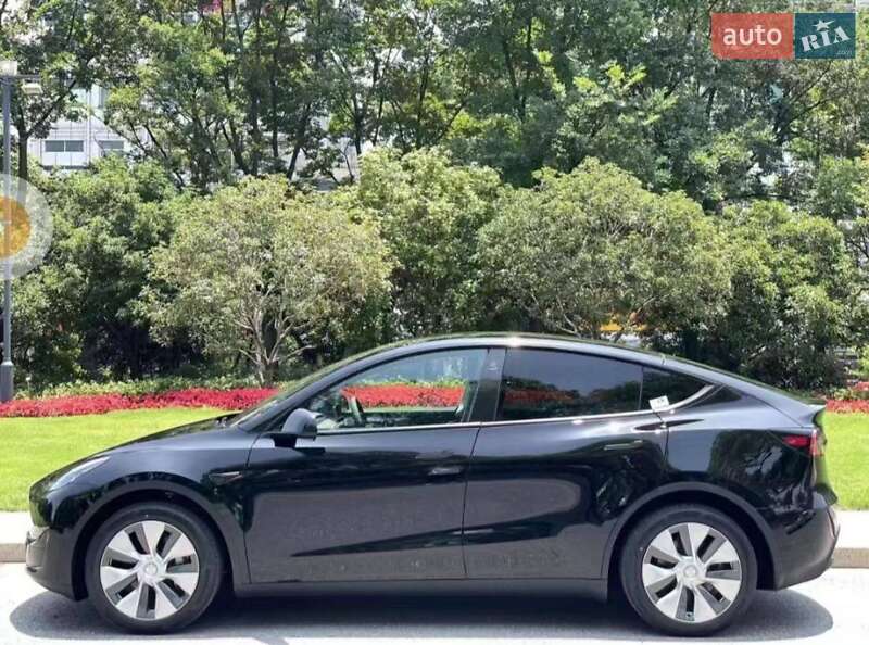 Внедорожник / Кроссовер Tesla Model Y 2022 в Снятине