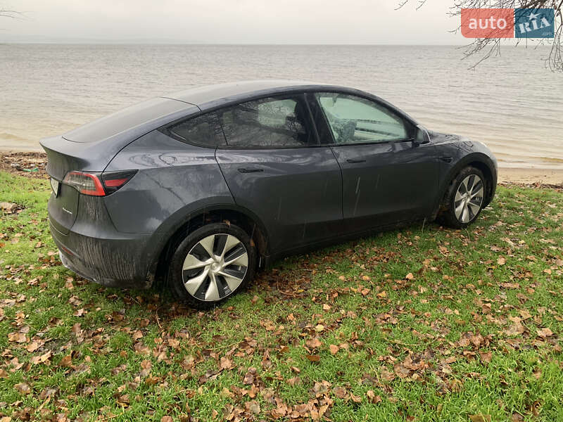 Позашляховик / Кросовер Tesla Model Y 2020 в Харкові