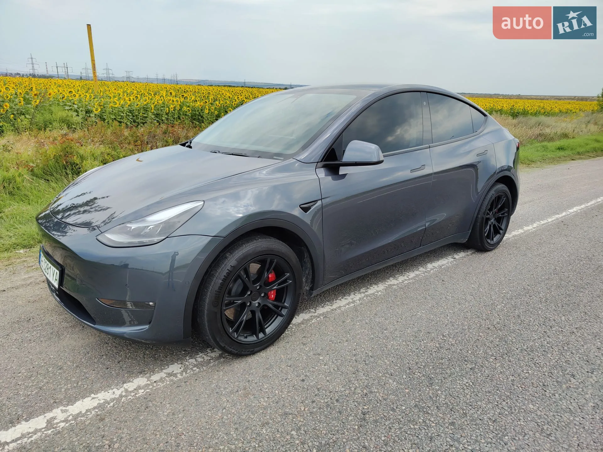 2020 Tesla Model Y - фото 1