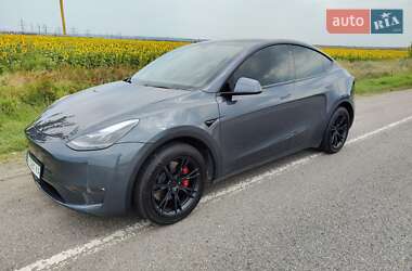 Внедорожник / Кроссовер Tesla Model Y 2020 в Днепре