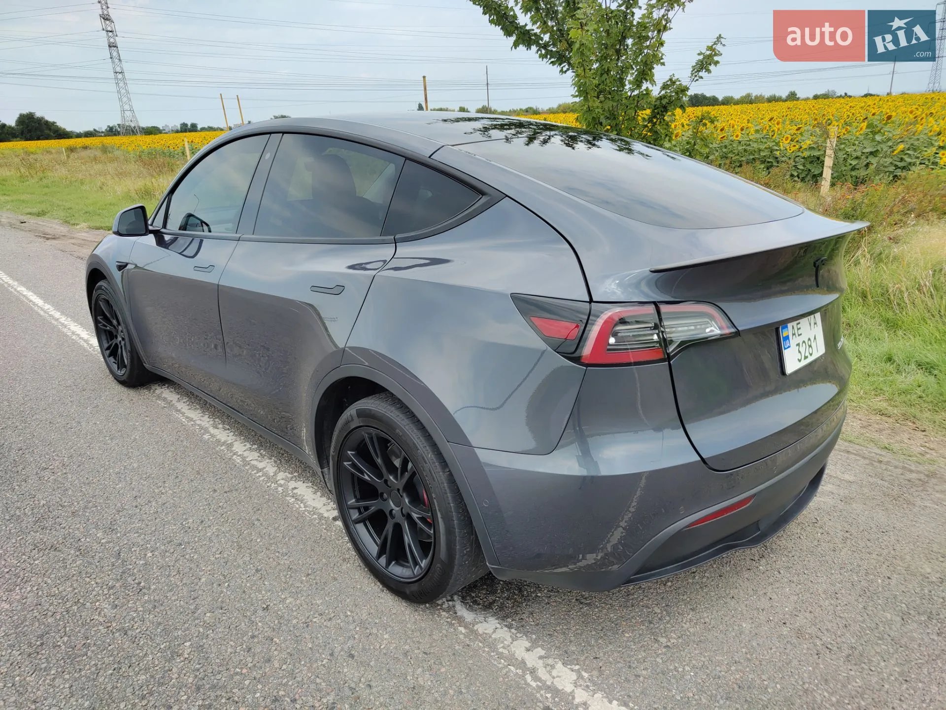 2020 Tesla Model Y - мініатюра 4