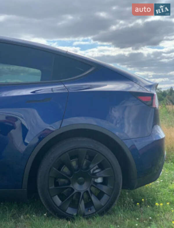 Внедорожник / Кроссовер Tesla Model Y 2021 в Житомире