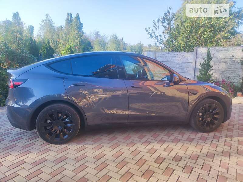Внедорожник / Кроссовер Tesla Model Y 2020 в Днепре