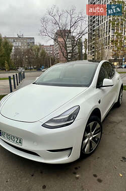 Внедорожник / Кроссовер Tesla Model Y 2020 в Днепре