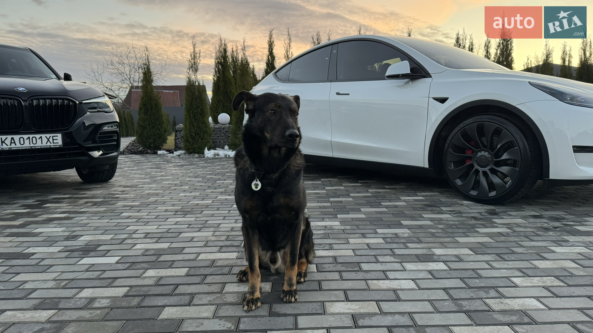2022 Tesla Model Y - мініатюра 41