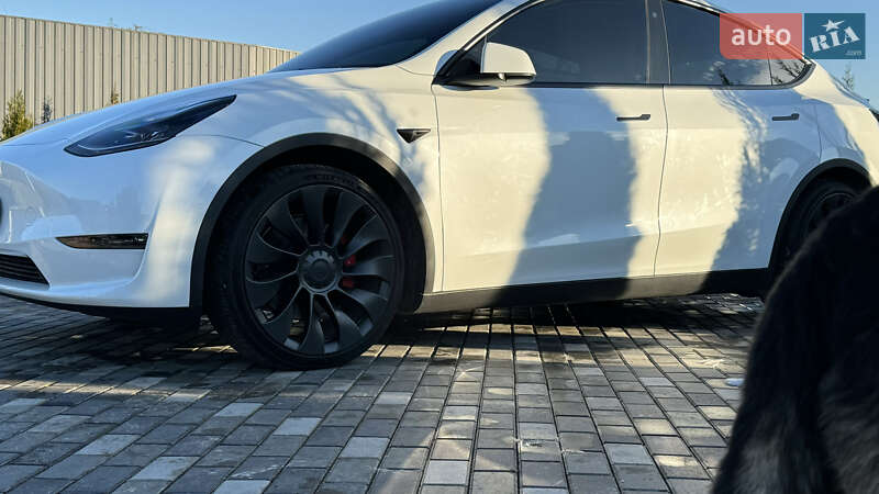 Позашляховик / Кросовер Tesla Model Y 2022 в Києві