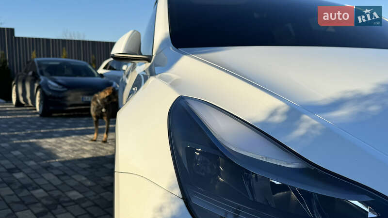 Позашляховик / Кросовер Tesla Model Y 2022 в Києві