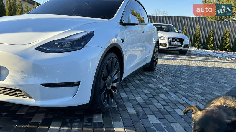 Позашляховик / Кросовер Tesla Model Y 2022 в Києві