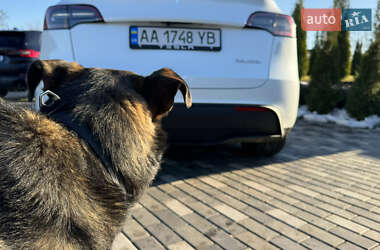 Внедорожник / Кроссовер Tesla Model Y 2022 в Киеве