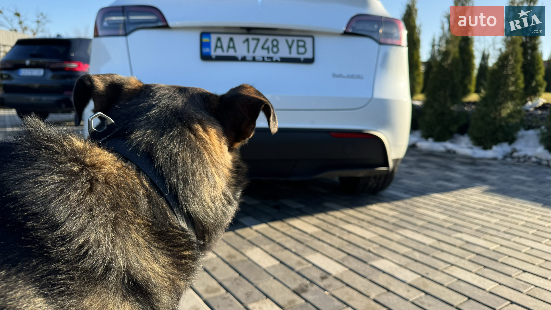 2022 Tesla Model Y - мініатюра 204