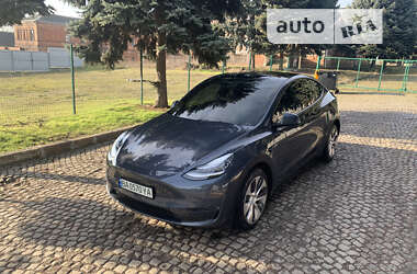 Позашляховик / Кросовер Tesla Model Y 2021 в Кропивницькому