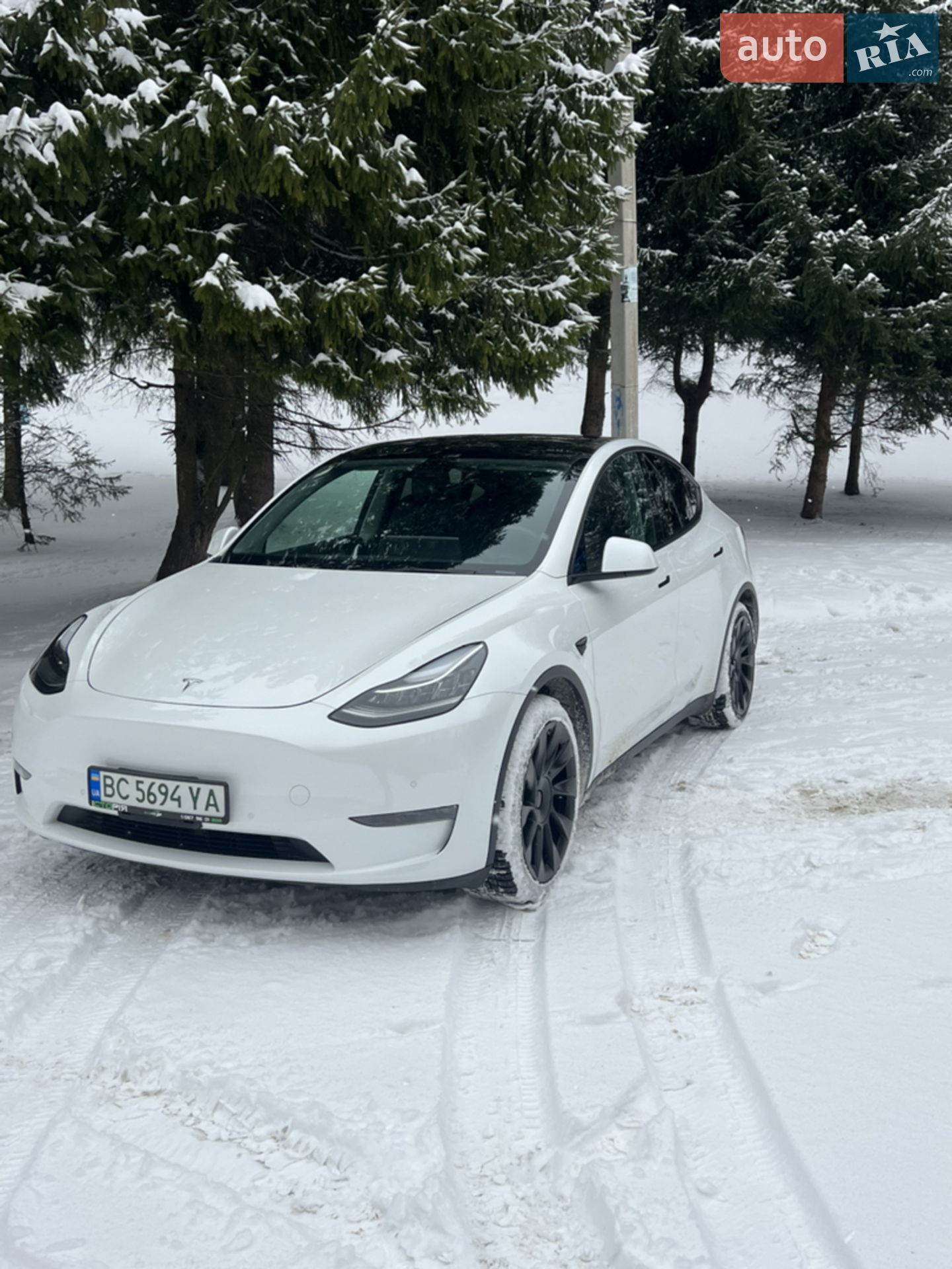 2021 Tesla Model Y - фото 1