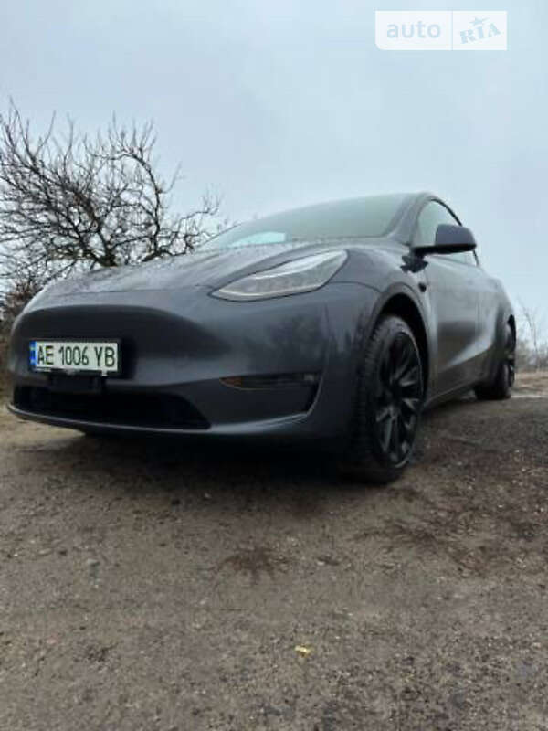 Позашляховик / Кросовер Tesla Model Y 2021 в Дніпрі
