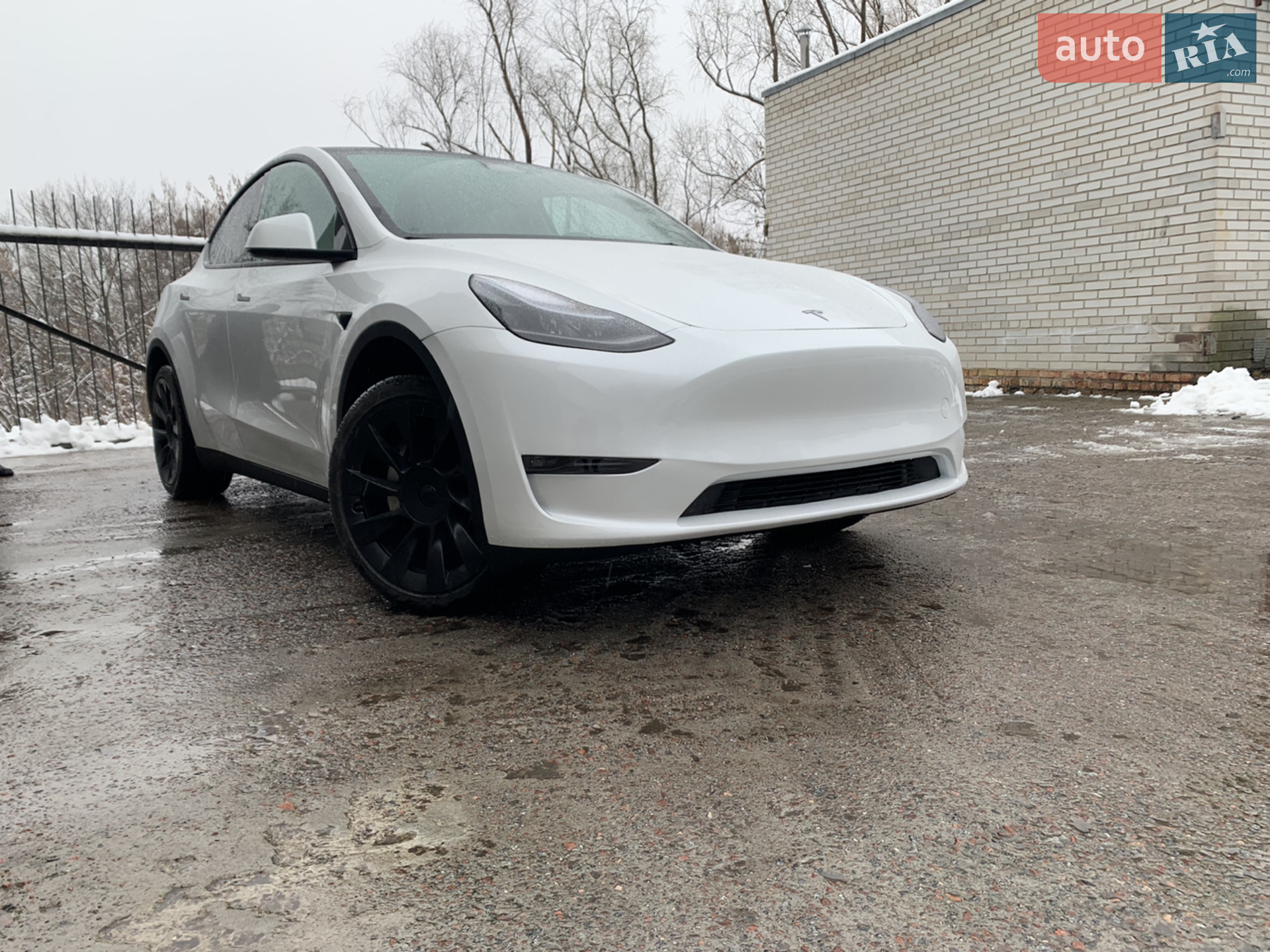 2022 Tesla Model Y - фото 1