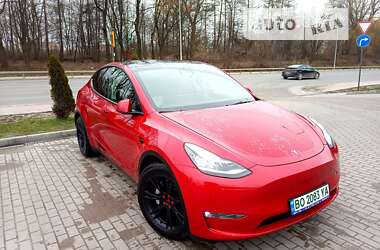 Позашляховик / Кросовер Tesla Model Y 2021 в Тернополі