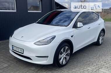 Внедорожник / Кроссовер Tesla Model Y 2021 в Яворове