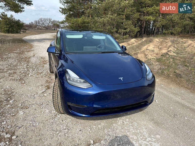 Позашляховик / Кросовер Tesla Model Y 2021 в Кам'янському