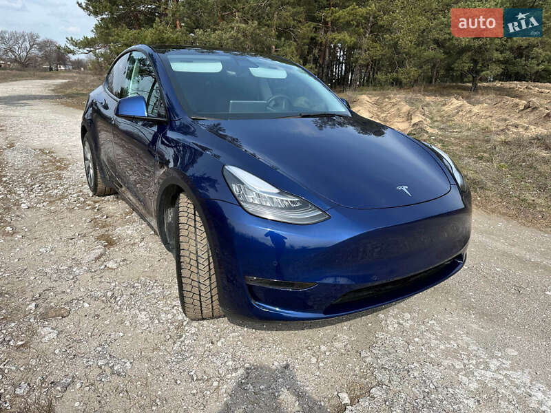 Позашляховик / Кросовер Tesla Model Y 2021 в Кам'янському