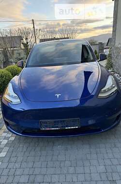 Позашляховик / Кросовер Tesla Model Y 2020 в Хусті