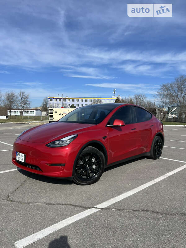Внедорожник / Кроссовер Tesla Model Y 2023 в Днепре