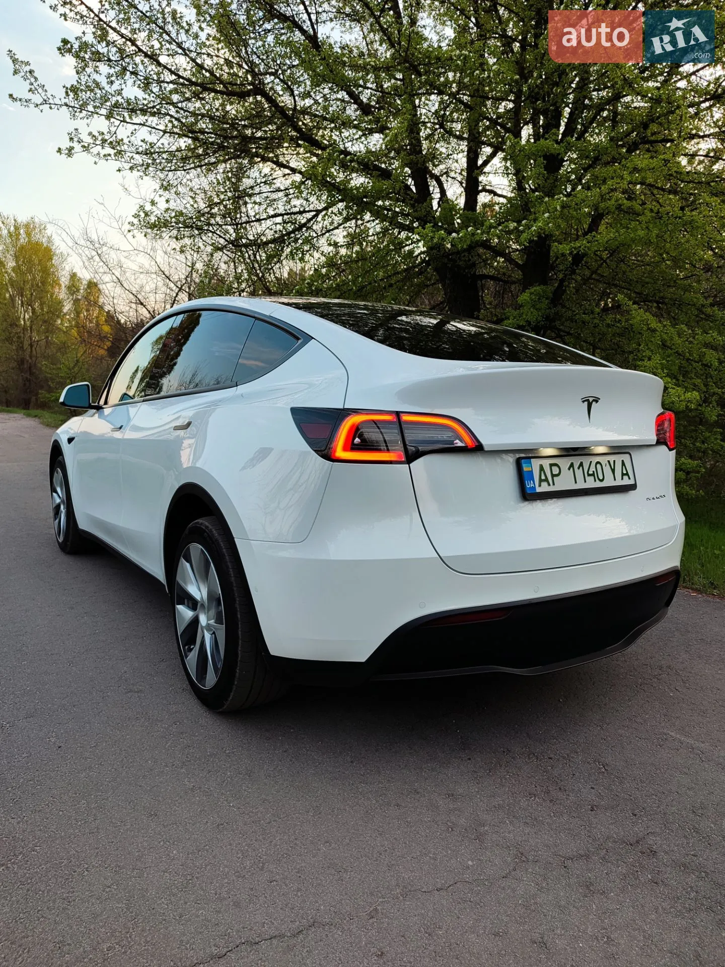 2022 Tesla Model Y - мініатюра 13
