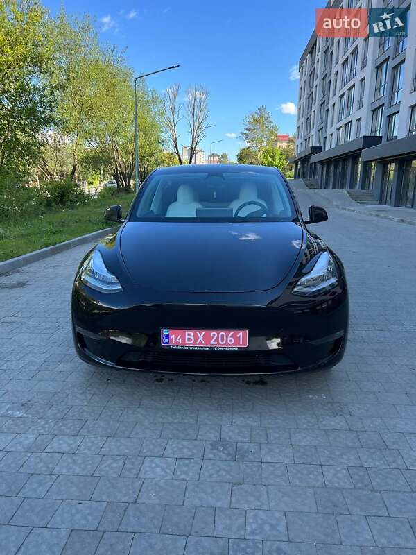 Позашляховик / Кросовер Tesla Model Y 2020 в Краматорську