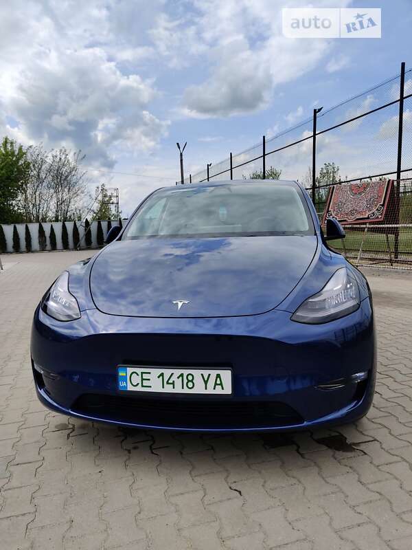 Внедорожник / Кроссовер Tesla Model Y 2022 в Черновцах